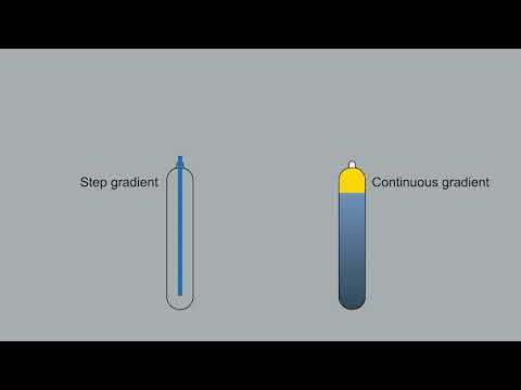 Gene Therapy Workflow