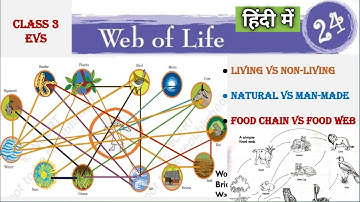 Class 3 EVS Chapter 24 WEB OF LIFE (हिन्दी में) | Picture Explanation | Solved Text questions | CBSE