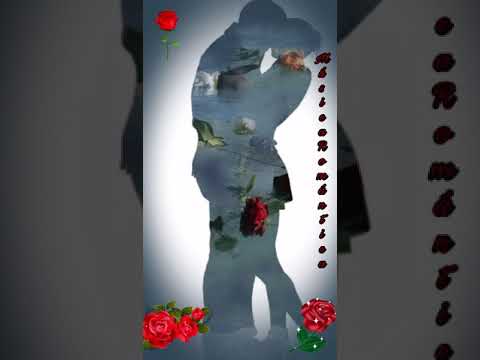 Un Poco Amantes