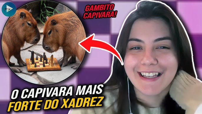 MF Julia Alboredo enfrenta o ELEFANTE38 disfarçado? 😂😂 