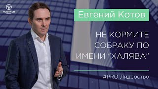 НЕ КОРМИТЕ СОБАКУ ПО ИМЕНИ ХАЛЯВА НЕ КОРМИТЕ СОБАКУ ПО ИМЕНИ ХАЛЯВА