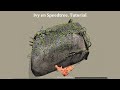 Ivy en Speedtree / Ivy in Speedtree Tutorial