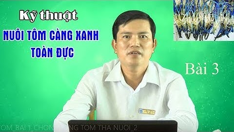 Bài 3: Quản lý thức ăn trong ao nuôi tôm càng xanh toàn đực (new)