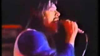 Video thumbnail of "Beautiful Loser Live / Bob Seger"