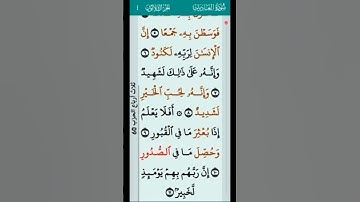 سورة العاديات🌹إن الإنسان لربه لكنود 🌹تلاوة خاشعة تريح القلوب 🌹القارئ حمادة جودة هلال