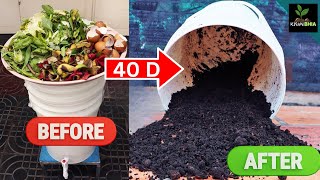 How To Make ORGANIC FERTILIZER For Plants At Home