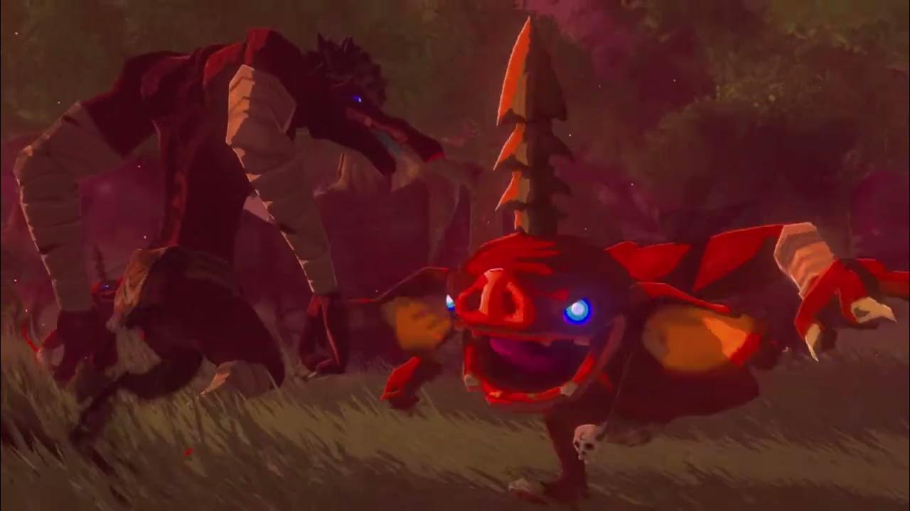 The Legend of Zelda Tears of the Kingdom Crisis at Hyrule Castle