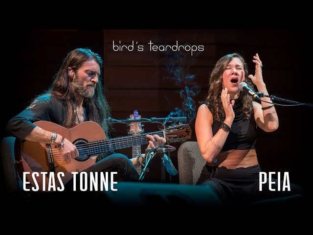 Bird's Teardrops || Estas Tonne feat. Peia || Ashland, Oregon 2018 class=