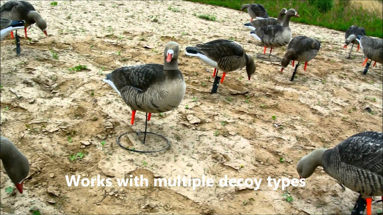 The Feeding Flock FullBodied Decoy Motion System YouTube