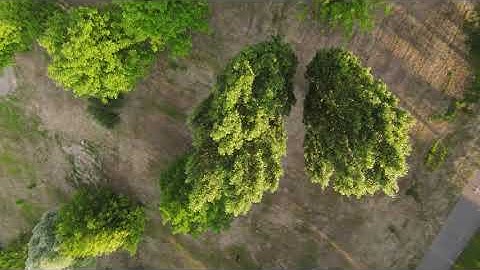 First Crash with DJI FPV