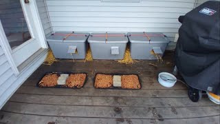 Insulated feral cat shelter with reflective mylar insulation, door flap, and a built in awning.