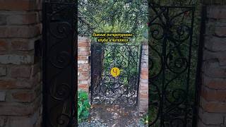 Атмосфера литературного пикника #книги #чтение #лето #сад #книжныйблог #книга #литература #природа