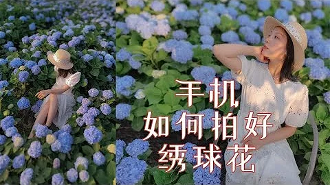 唯美花海应该这样拍照 #拍照 #摄影 #手机拍照技巧 - 天天要闻