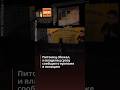 По улицам Шпандау с воскресенья разгуливает кенгуру