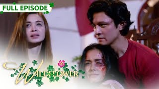 [ENG SUB] Ep 250 | Wildflower | Maja Salvador, Tirso Cruz III, Aiko Melendez