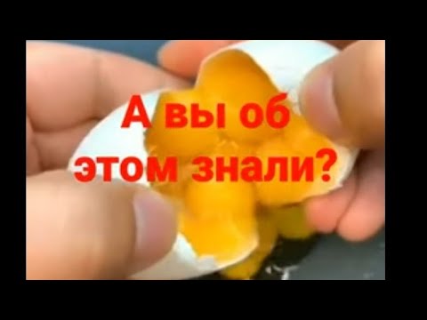 Как найти много желтков в яйце