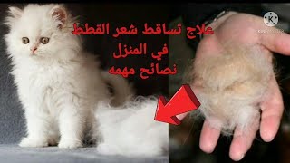 علاج تساقط شعر القطط (في المنزل بدون طبيب بيطري)