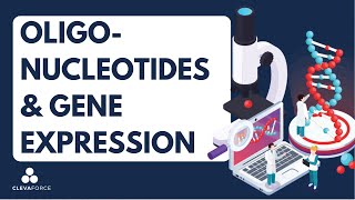 Oligonucleotides and gene expression