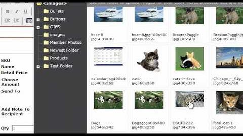 Uploading Images Or Files - Websiteforge Ecommerce Website