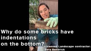 What is a Brick Frog? | Sara Bendrick