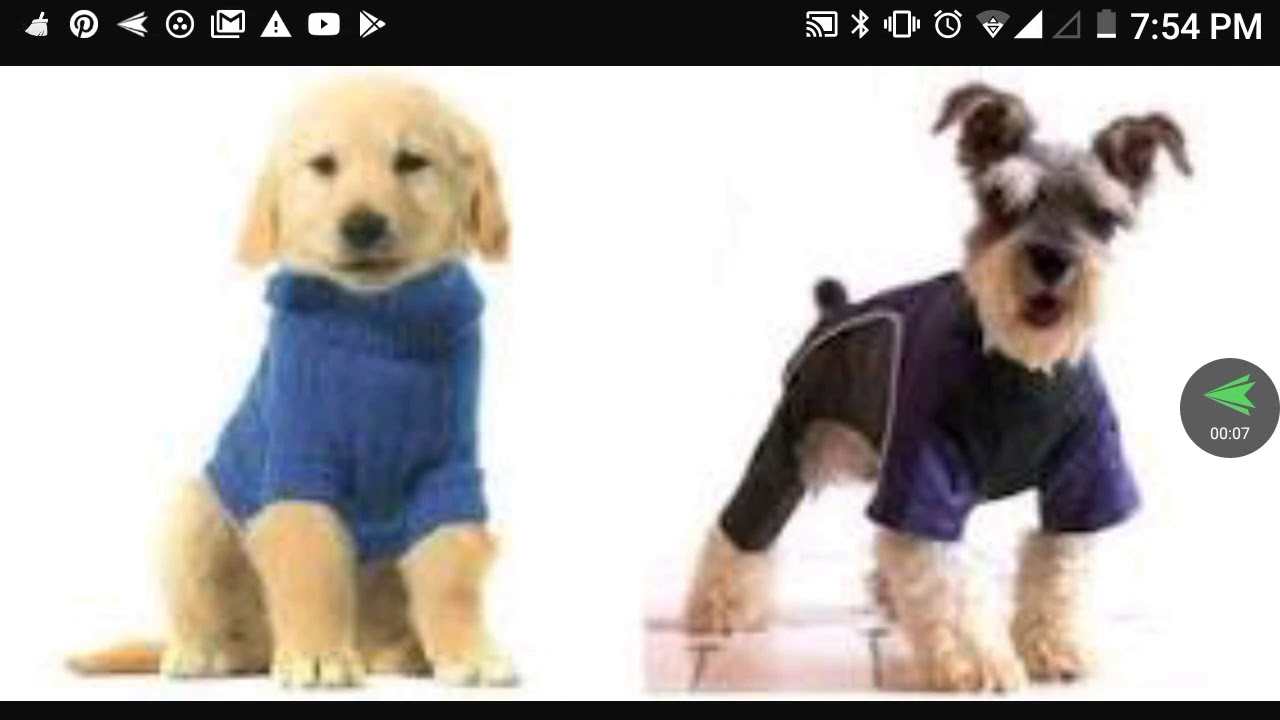 Y tu perro, tambien quiere swether practicus kabbalah