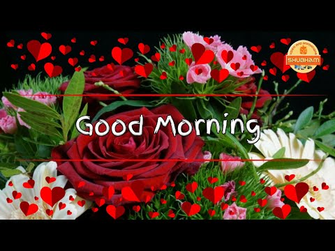 Whatsapp Status Video 2018 || Good Morning Video Songs Download