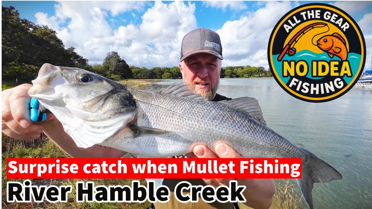 Big BASS caught on bread in a River Hamble Creek #seafishingforbass