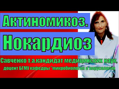 Видео: Разлика между актиномикоза и актинобацилоза