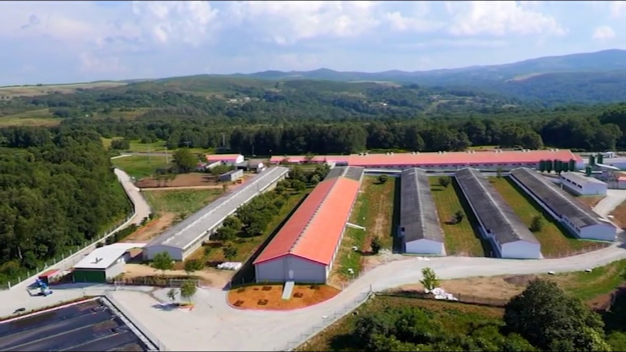 El centro de procesado avícola de Coren logra nuevo récord de producción 12 6 17