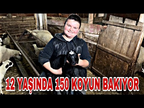 12 YAŞINDAKİ ÇOBAN ERDEME ZİYARET ~ 150 KOYUN BAKIYOR