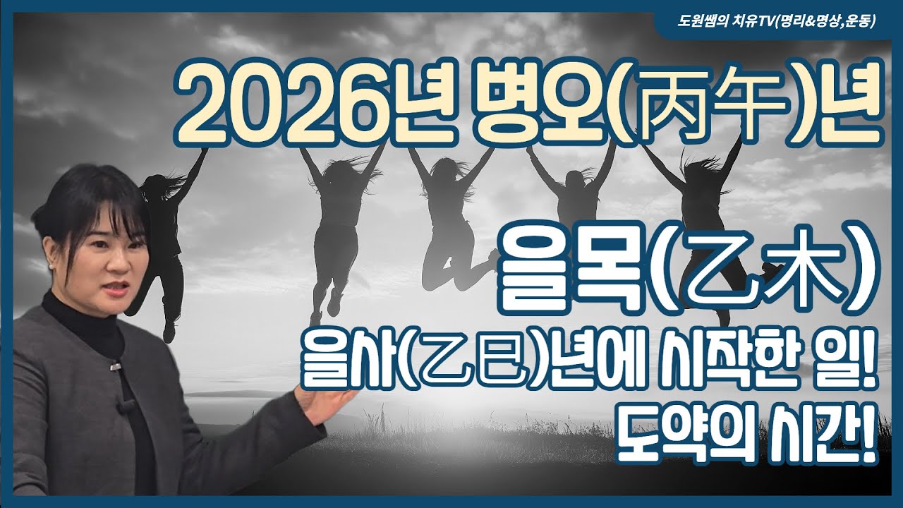 을목(乙木) | 2026년 병오(丙午)년 | 을사(乙巳)년에 시작한 일! 도약의 시간!