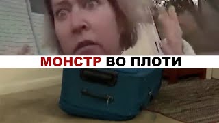 картинка: Он сам залез в чемодан