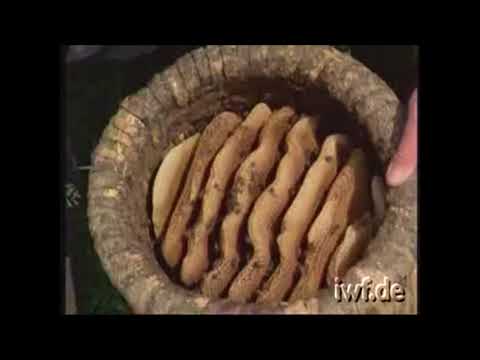 Skep Beekeeping in the Heathland - 1978