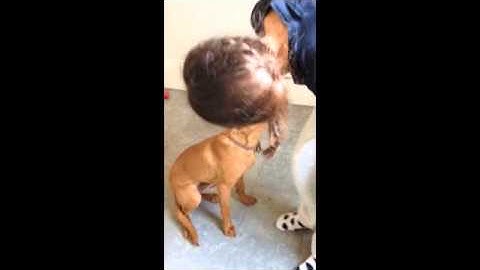 Instinctive & Learned Behaviour