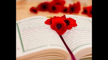 قرآن كريم معاذ العيد أجمل حالات واتس اب دينيه 🖤 تلاوة خاشعة