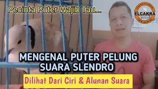 Mengenal puter pelung suara slendro