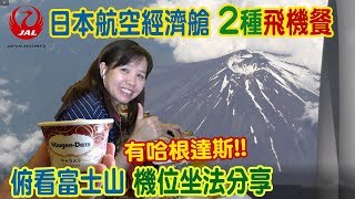 JAL日本航空經濟艙2種飛機餐分享有哈根塔斯! 俯看富士山機位 ...
