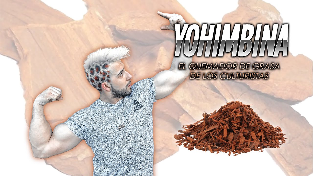 QUE ES LA YOHIMBINA Y PARA QUE SIRVE 🌿 YouTube QUE ES LA YOHIMBINA Y PARA QUE SIRVE 🌿 YouTube