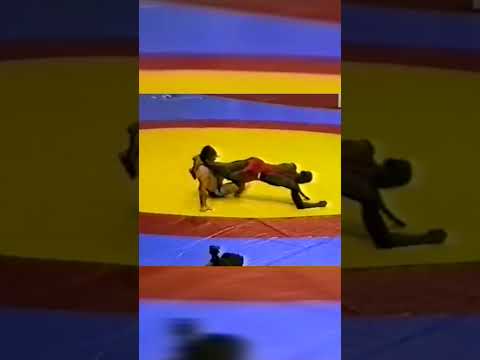 Лучший борец-вольник 90-х годов