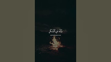 يا بني أقم الصلاة وأمر بالمعروف وانهى عن المنكر|اسلام صبحي| سورة لقمان|#قرآن #سورة_لقمان #اسلام_صبحي