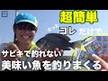 サビキで釣れない魚を釣りたくて、超簡単仕掛けで色々試してみたら…美味しい魚がめっちゃ釣れた！釣り初心者の方にも超オススメです！