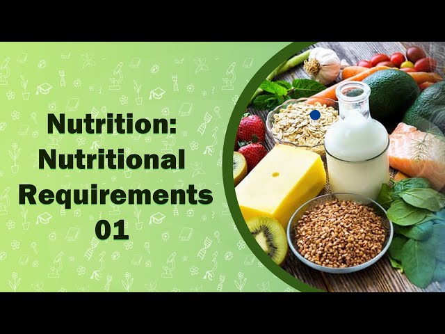 Nutrition:Nutritional Requirements-01 