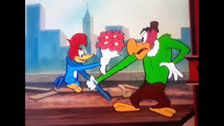 Pica-Pau - O Hipnotizador Caipira (1953) HD