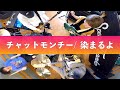 チャットモンチー / 染まるよ 【PUNK cover】#038
