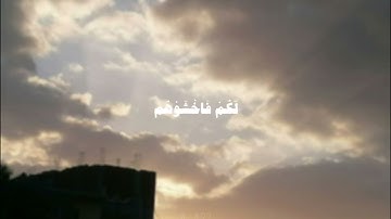 "الذين قال لهم الناس إن الناس قد جمعوا لكم" | القارئ عُمر بن ضياء الدين 🤍 #viral