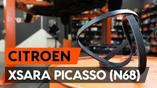 Wie CITROËN XSARA PICASSO (N68) Rippenriemen selber wechseln - Tutorial