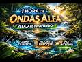 1 Hora de Relajación y Concentración 🌊 Sonido de Agua para Calma Mental