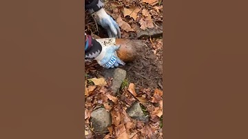 Satisfying Pipe Clog Clearing || ViralHog