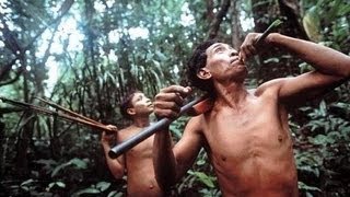Nomads of the Rainforest PBS NOVA 1984 by The Documentary Network 22,514,379 views 10 years ago 1 hour