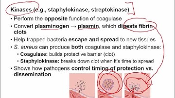 Openstax Micro Ch. 15 Video Part 04 - Sections 15.3b & 15.4